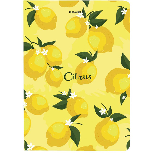 Блокнот BRAUBERG 113727