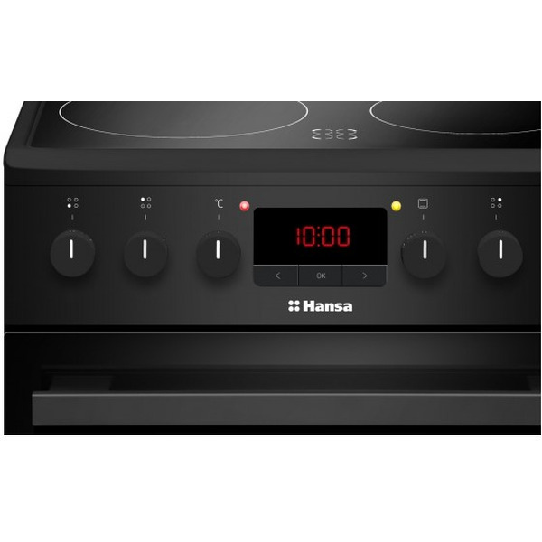 Кухонная плита Hansa FCCM58209H