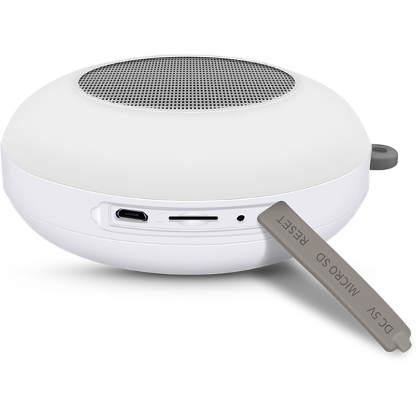 Беспроводная колонка Evolution X1