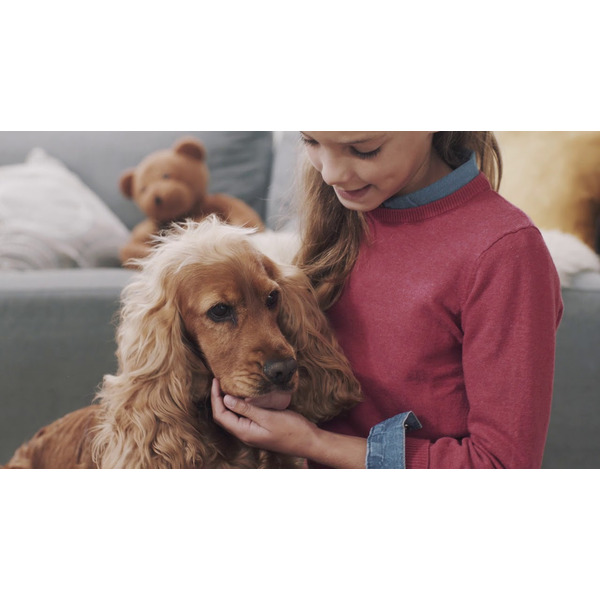 Очиститель воздуха Philips AC2887/10