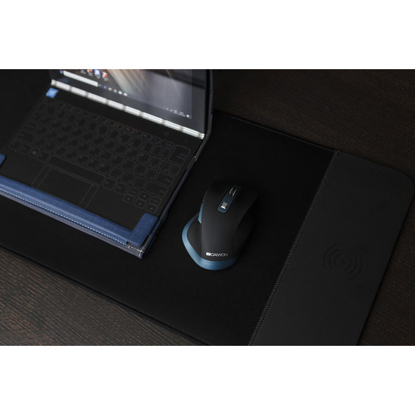 Мышь Canyon CNS-CMSW14DG