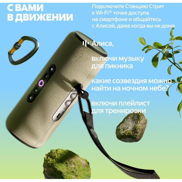 Портативная Умная колонка Яндекс.Станция Стрит YNDX-00030GRY (серый)