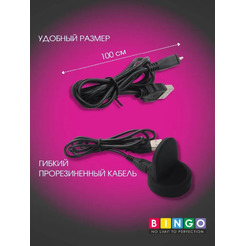 Зарядное устройство Bingo для SAMSUNG Galaxy Gear S3 (frontier/classic)