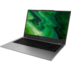 Ноутбук Digma Pro Fortis M DN14P5-ADXW03