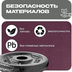 Набор чугунных дисков Proiron НЧД4250 (4 х 2,5 кг)