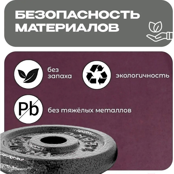 Набор чугунных дисков Proiron НЧД4250 (4 х 2,5 кг)