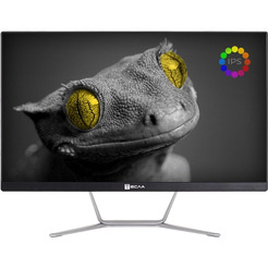 Моноблок Тесла Z24B 2108500