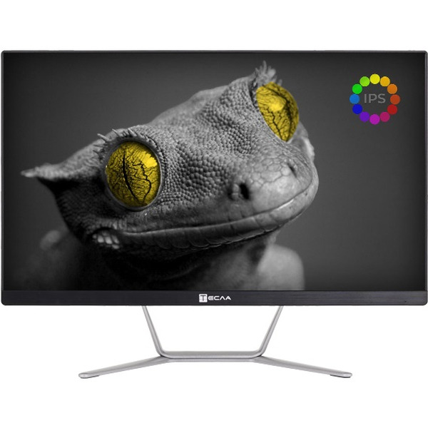 Моноблок Тесла Z24B 2108500