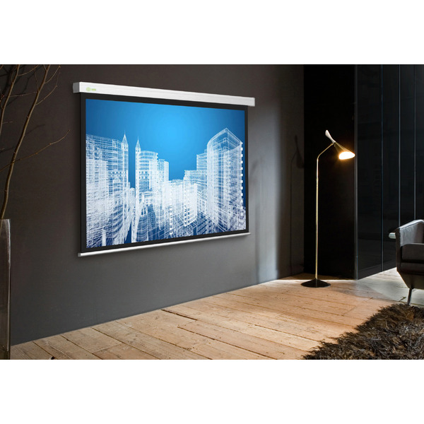 Экран Cactus CS-PSW-183X244