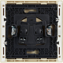 Розетка IEK Forte&Piano FP-R10-10-K10