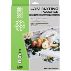 Пленка для ламинирования Cactus CS-LPGA48025