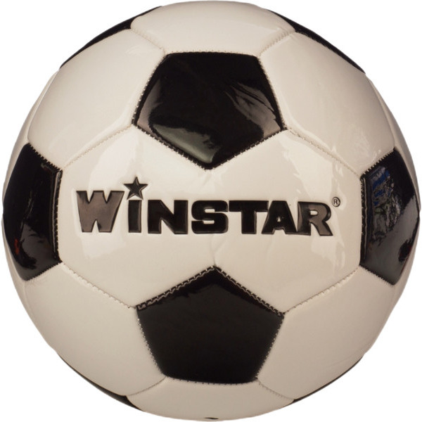 Футбольный мяч Winstar WN11008