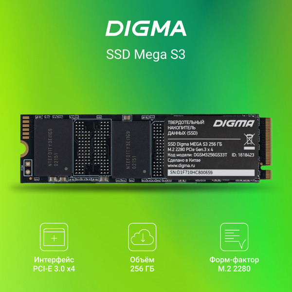 SSD Digma Mega S3 256GB DGSM3256GS33T