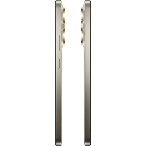 Смартфон Realme 15 5G RMX5106 8GB/256GB (титановый)