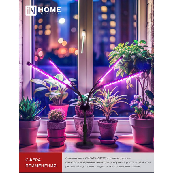 Светильник настольный на основании светодиодный IN HOME СНО-Т2-ФИТО 4С40 красно-синий (4690612053561)