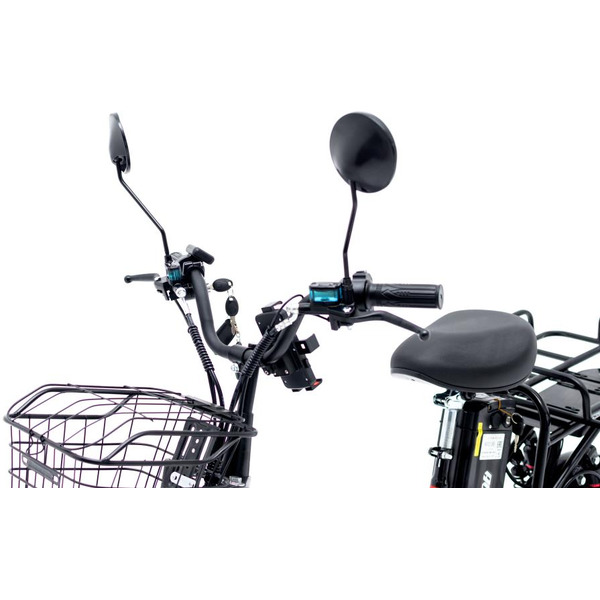 Электровелосипед AVM E-Alfa Fat (черный)