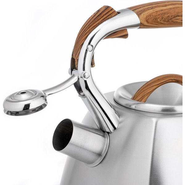 Чайник LARA LR00-66 (матовый)