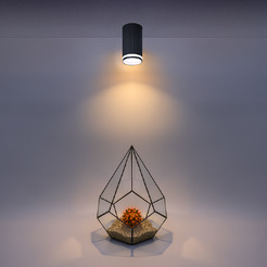 Накладной светильник WOLTA WSL-GU10/03BL