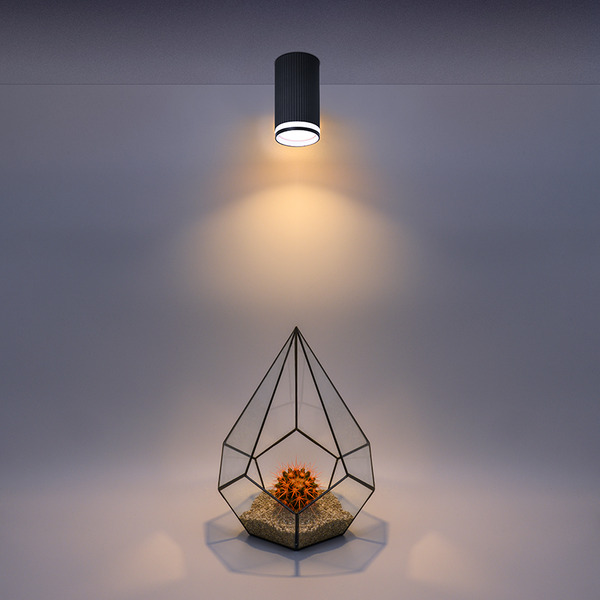 Накладной светильник WOLTA WSL-GU10/03BL