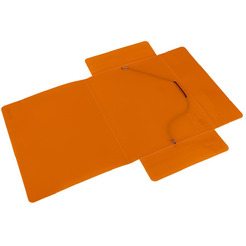 Папка DELI 39504ORANGE