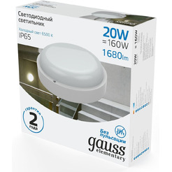 Светильник Gauss 126411320