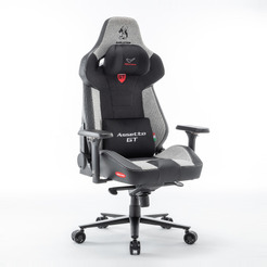 Кресло компьютерное EVOLUTION ASSETTO GT Monza Black-Grey