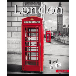 Тетрадь ПРОФ-ПРЕСС, Акцент на цвет, 96-2568, картон 96 л  хромэрзац, кл, ф. А5,