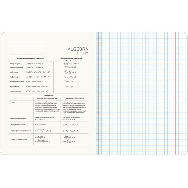 Тетради предметные BRAUBERG 404840 (КОМПЛЕКТ 12 ПРЕДМЕТОВ, 48л, покрытие твин-лак)
