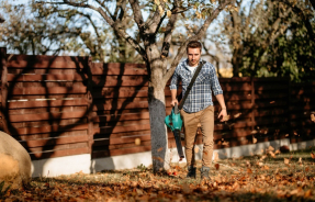 Как выбрать воздуходувку