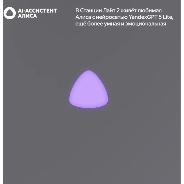 Умная колонка Яндекс.Станция Лайт 2 без часов (YNDX-00028GRY) графит