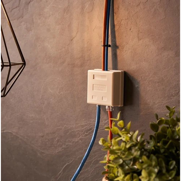 Розетка телефонная + сетевая LAN Rexant 06-0106-C (гнездо 8Р8С (Rj-45) + гнездо 6Р-4С (RJ-11))