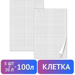 Блокноты для флипчарта BRAUBERG 124097 5 шт
