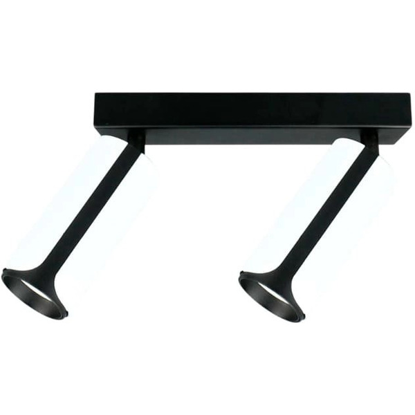 Спот General Lighting Systems GWL-2GU10-M-IP20 661711