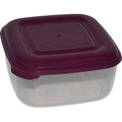 Ёмкость ПОЛЕСЬЕ №37 квадратная с крышкой, 1.5 литра