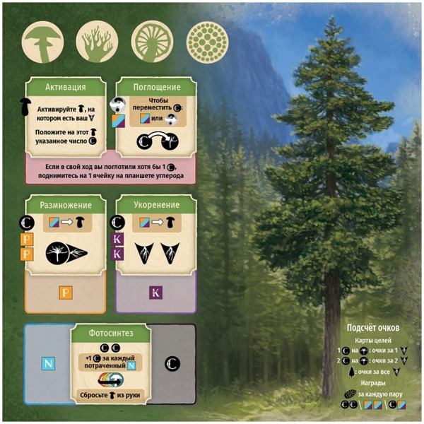 Настольная игра Hobby World Грибы и корни 952039