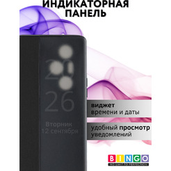 Чехол-книжка Bingo Smart для Honor 300 Pro/300 Ultra (черный)