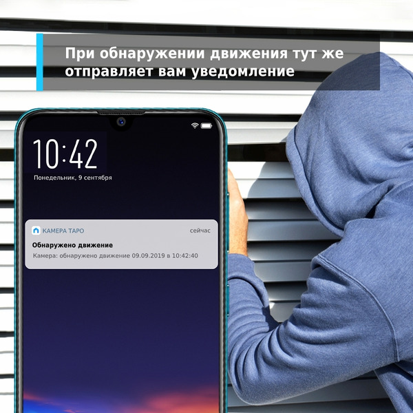 IP-камера TP-Link Tapo C110