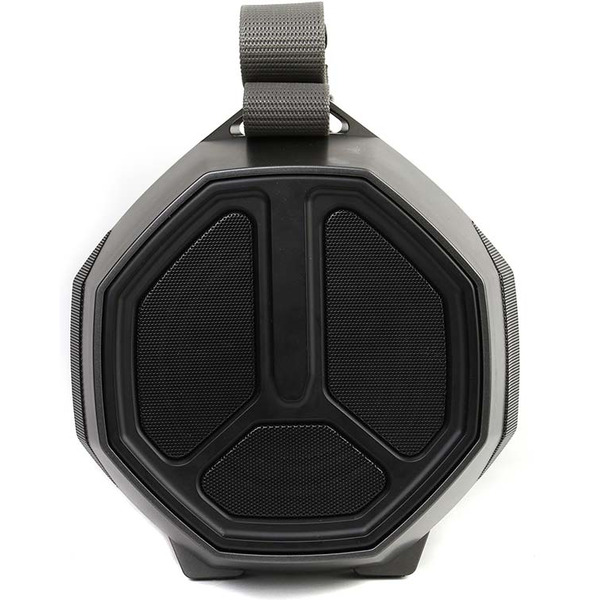 Портативная акустическая система DIALOG AP-1050