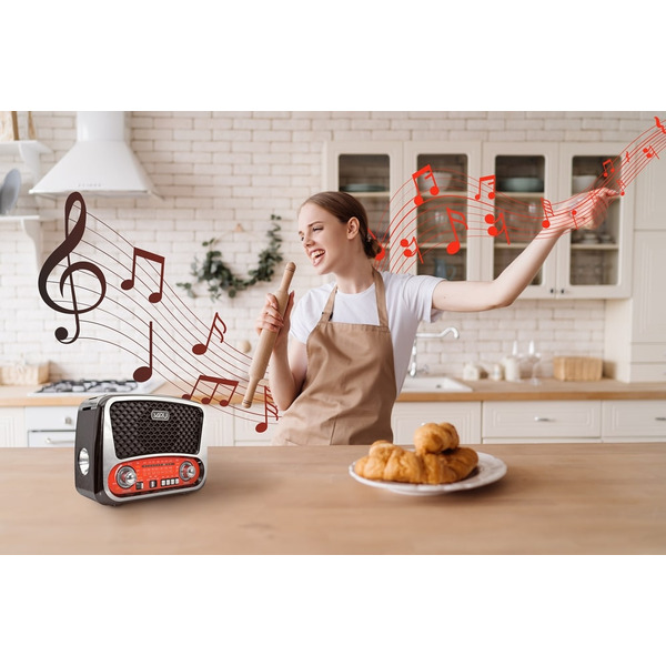 Радиоприемник Miru SR-1019