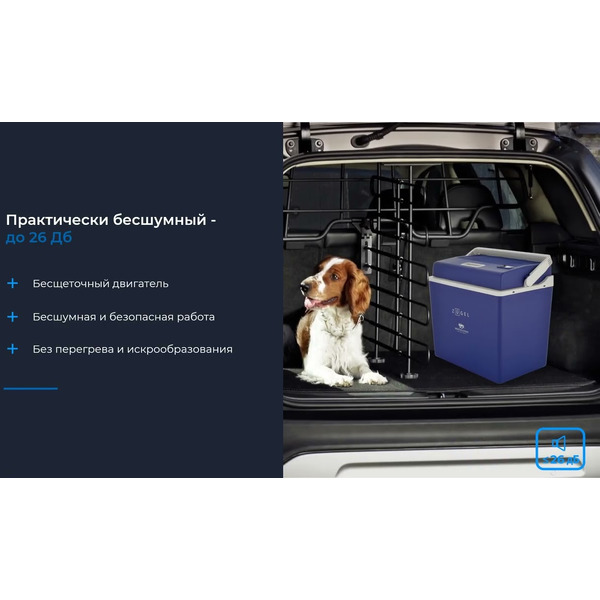 Автохолодильник Zugel ZCR301D