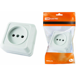 Розетка TDM Ладога SQ1801-0110