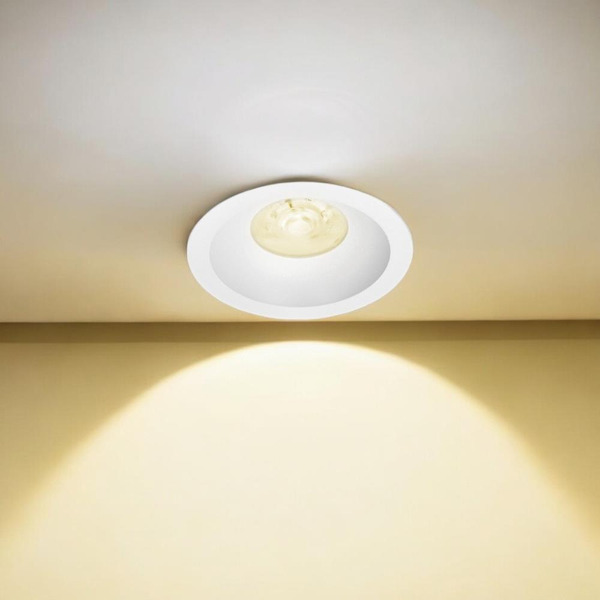 Светильник светодиодный встраиваемый TRUENERGY 10560