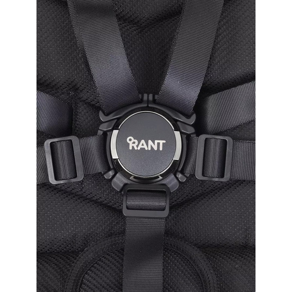 Детская универсальная коляска Rant Flex Pro 2 в 1 2023 RA074 (черный)