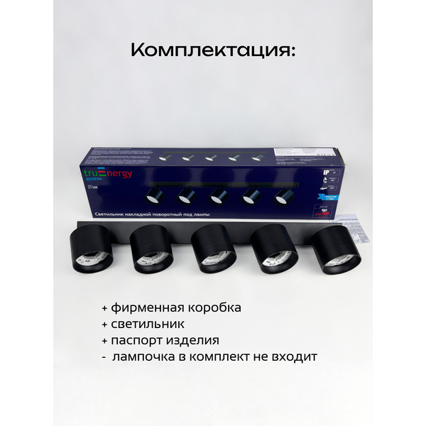 Светильник накладной поворотный TRUENERGY MODERN 21388
