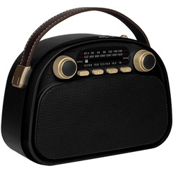 Радиоприёмник RITMIX RPR-040 (черный)