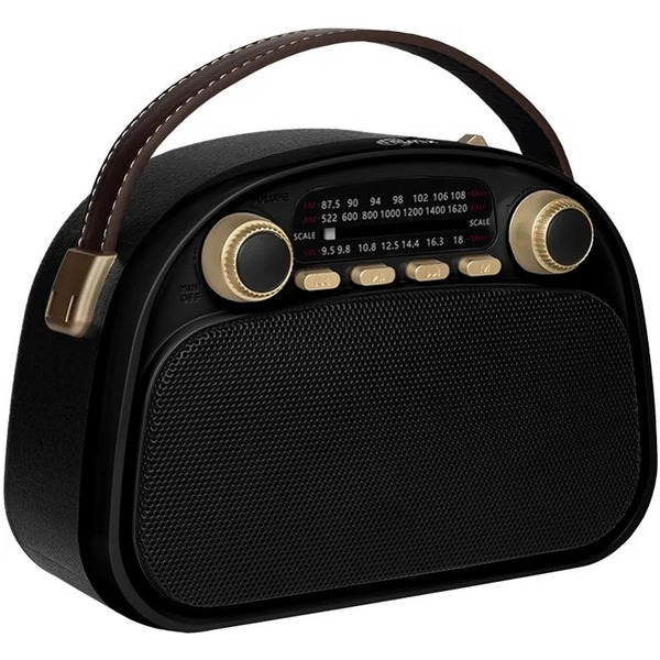 Радиоприёмник RITMIX RPR-040 (черный)