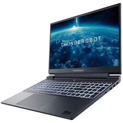 Игровой ноутбук Thunderobot 911X Wild Hunter G3 Evo (JT009R00KRU)