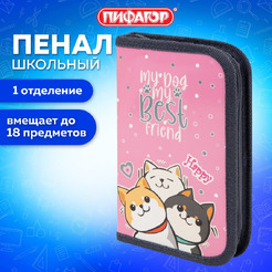 Пенал ПИФАГОР 272240