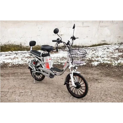 Электровелосипед AVM E-ALFA 20 Pro (серебристый)