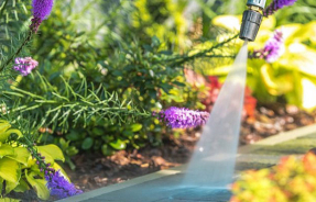 Как выбрать мойку высокого давления?